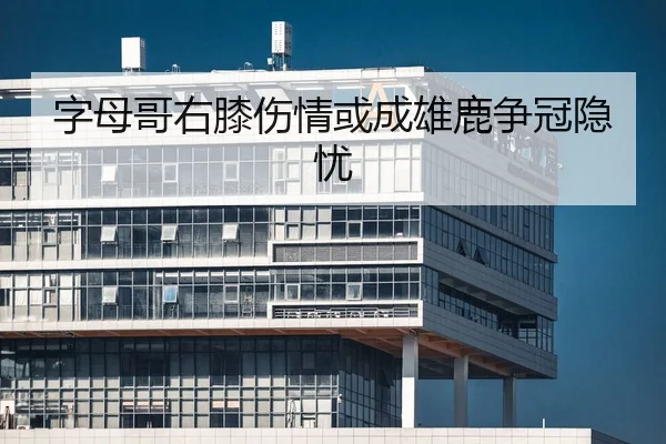 字母哥右膝伤情或成雄鹿争冠隐忧